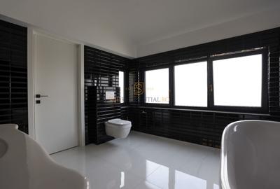 Apartament tip duplex, ideal birouri, 7 camere, Zona Parcul Carol - 15