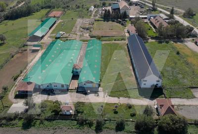 De vanzare | Hala industriala | productie | depozitare | 1023mp | Sebes - 7