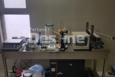 AFACERE LA CHEIE  FERMA DE  PORCI - 4