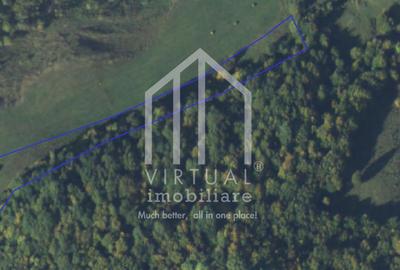 Teren extravilan de vanzare 15,600 mp zona loc... Hamba - 1