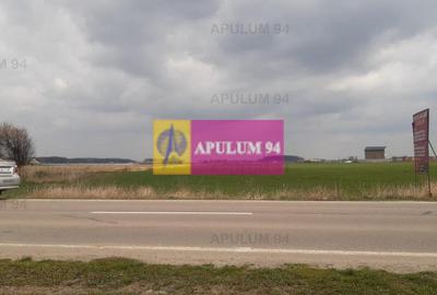 Teren Intravilan  cu front stradal la un Drum Principal langa București - 16
