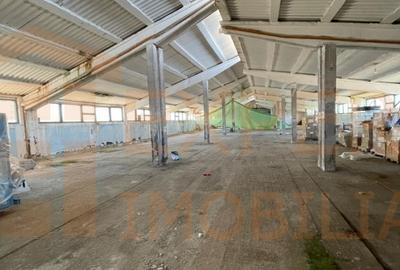 Hala de vanzare in orasul Ovidiu - Teren de 3000mp - 13