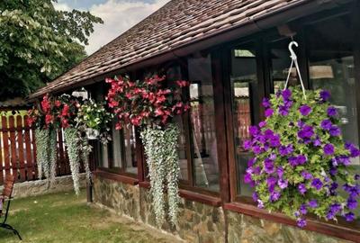 RESTAURANT DE VÂNZARE-COM. OBREJA\SAT IAZ\CARAȘ SEVERIN - 16
