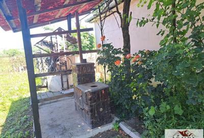 Casa de vanzare in Razboieni - Cetate - 8
