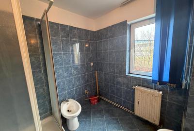Vand apartament 3 camere - decomandat - etaj 1 - cartier Trei Stejari - 8