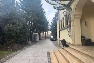 Oportunitate De Vanzare! Vila Exclusivista Unirii - Matei Basarab - 3