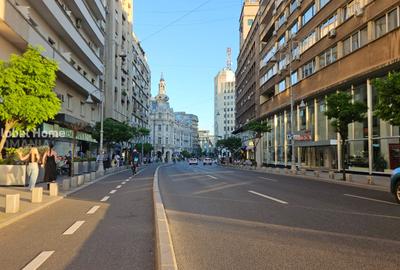 Spațiu Comercial Ultracentral | Calea Victoriei | 318 mp - 3