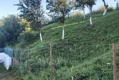 Teren intravilan de vanzare, in satul Gheorghieni! - 7