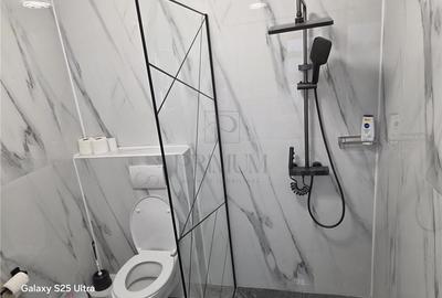 SAGULUI, CASA 4 CAMERE, IMPARTITA IN APARTAMENTE CU TEREN GENEROS - 7