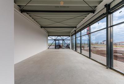 Spatii comerciale de inchiriat in noua Galerie Senso Lake – Dumbravita - 13