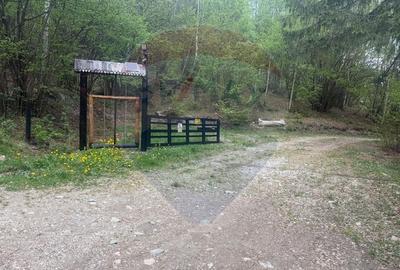Proprietate eco-turistică de vânzare – 62.330 mp, Horea, Alba - 54