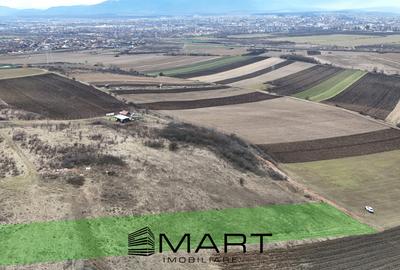 Teren extravilan 4500mp cu autorizatie adapost agrigol in Gusterita - 3