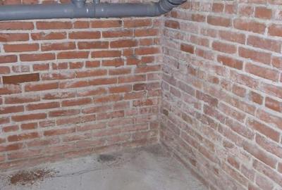 VILĂ CU POTENȚIAL MULTIPLU || CALEA DOROBANȚI - 32