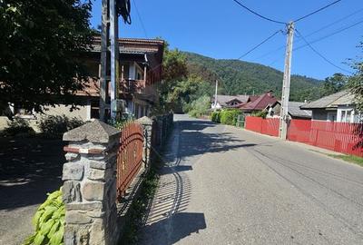 Casă solidă din cărămidă, mobilată, garaj, teren generos – Tarcău - 22