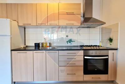 Apartament cu 2 camere si terasa de închiriat în zona Buna Ziua - 12