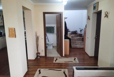 FARA COMISION casa 4 camere 2 bucatarii 2 puturi beci livada 1500mp SAU 3300mp - 12