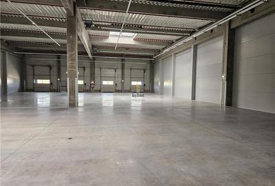 Spatii Industriale - 9500 mp - Logistica - Productie - Depozitare - Distributie - 5