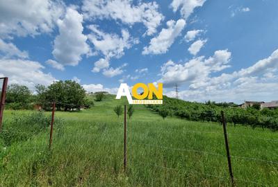 De vanzare 998 mp teren intravilan, Cetate - 1