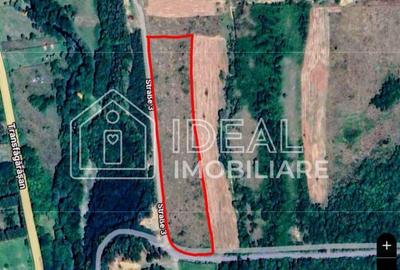 Teren extravilan 6.500 mp – Cârțișoara | Comision 0% - 9