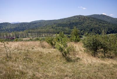 Comision0% Teren recreational 4200mp Vulcan Brasov- curent-asfalt - 11