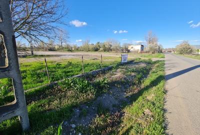 Teren intravilan 4600 mp parcelabil, deschidere 60 m - ideal investiție - 3