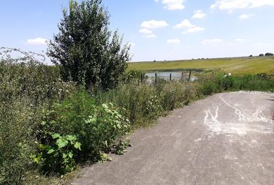 Vand teren parcelabil, pe malul lacului Mostistea, 2400mp, in Belciugatele - 1