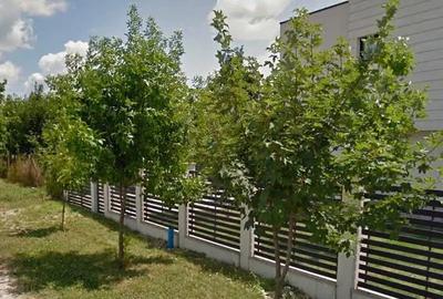 Teren 800 mp Băneasa – PUD aprobat – Construiești imediat - 5