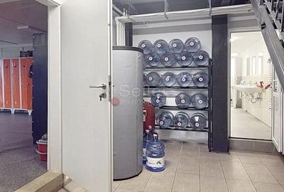 Spatiu Productie Logistica si Depozitare - 10