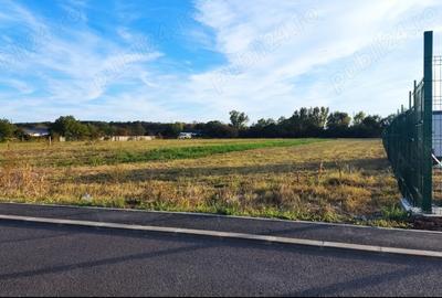 Teren industrial - 3