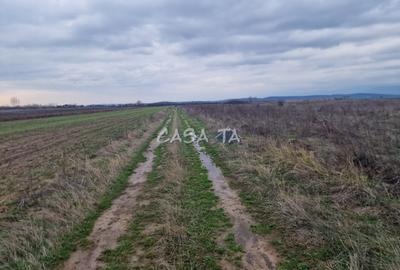 Teren Construcții extravilan de 5900 mp, în Central