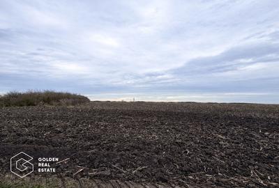 Teren agricol de vanzare, 17.900 mp, comuna Utvin - 3