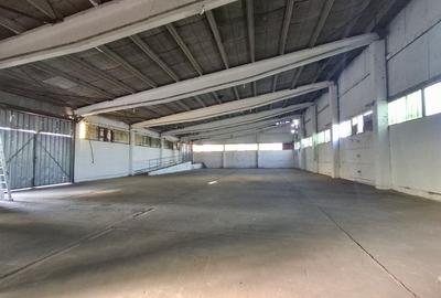 Spatii depozitare /productie Linia de Centura Leordeni-Glina - 27