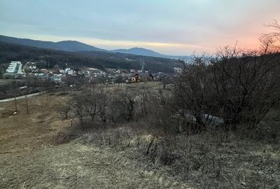 Teren Intravilant cu un Formidabil View /Priveliște a întregului oraș Zalău - 5