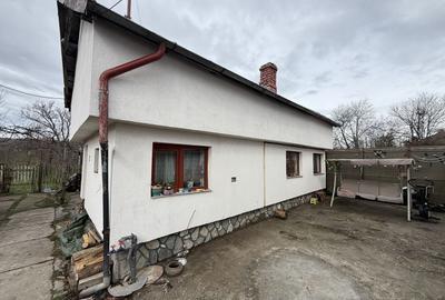 Casă corp C1 84mp + casă corp C2 51mp+garaj+ grădină și teren 889mp - 27