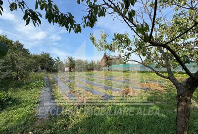 Teren intravilan | 1200 mp | 35 ml deschidere | Alba-Micesti - 4