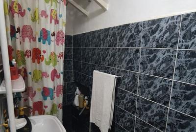 Casa de vanzare cu 2 camere Ultracentral, pe Tudor Vladimirescu - 8