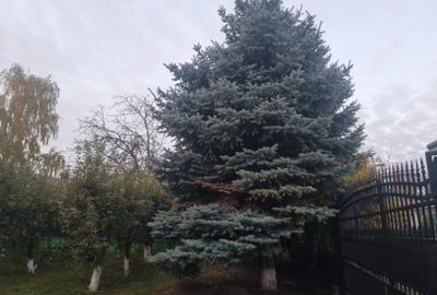 Casa la cheie mobilata si utilata cu 2500mp teren in oras - 16