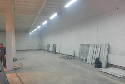 Spațiu industrial, 300 mp în Gheorghe Doja