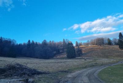 Teren intravilan zona Silver Mountain , Poiana Brasov - 8