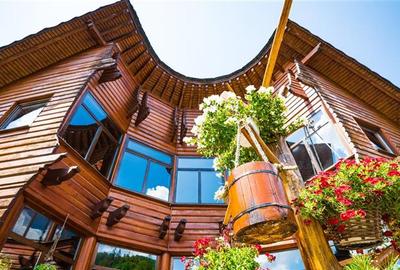 Restaurant de vanzare, Valea Muresului, Andreneasa - 4
