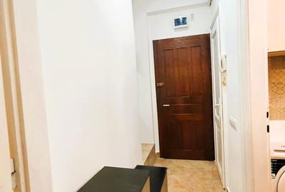 Apartament de închiriat, 1 cameră, 30 mp, zona Horea - 5