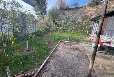 Casa de vanzare 3 camere teren Sibiu Sura Mare - 19