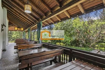 Oportunitate, Restaurant cu MiniPensiune 800mp, 1,8ha teren, Via Transilvanica - 24