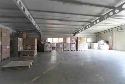 Oportunitate de investitie | Hala Parc Industrial 1 - 6