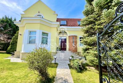 Casă individuală cu 9 camere în Andrei Mureșanu