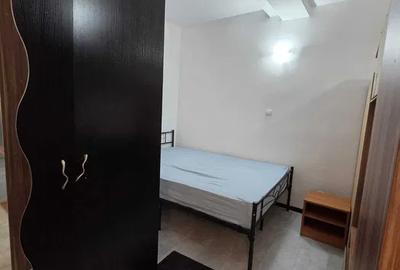 Studio Dristor/Pet friendly/Metrou Dristor - 5