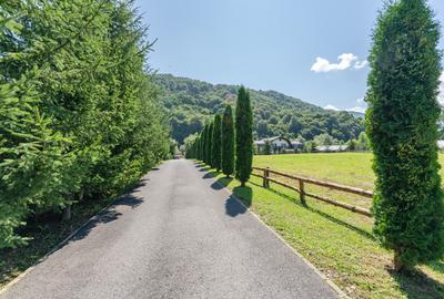 Domeniu privat la poalele muntilor - Glajerie-Rasnov - 23