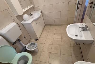 Inchiriere Vila Floreasca sector 2 Chopin nr.2B - 13