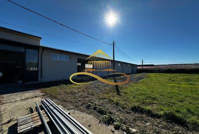 Spațiu industrial, în Buhoci