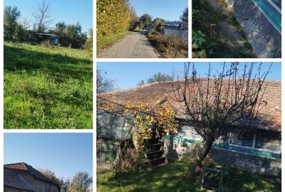 Casă batranească de vânzare - 1